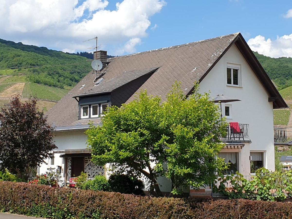 Schorn³ Appartements Zell an der Mosel Exterior foto